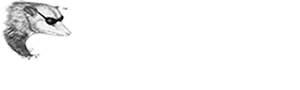 Cool Possum Web Graphics Logo